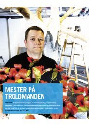 MESTER PÅ TROLDMANDEN