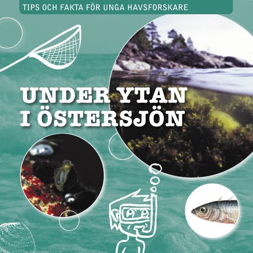 Under ytan i Östersjön (pdf)