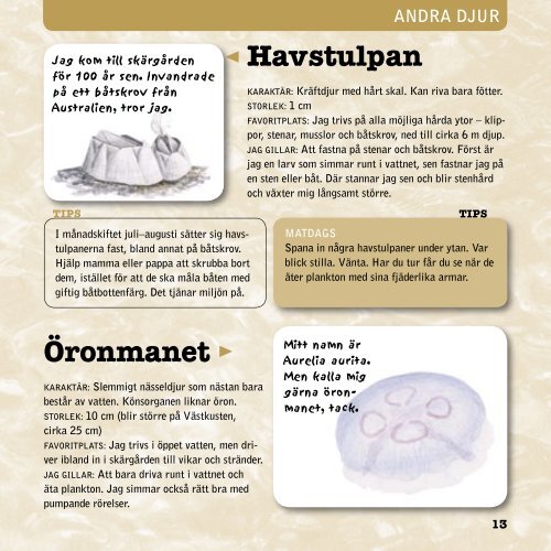 Under ytan i Östersjön (pdf)