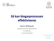 Så kan biogasprocessen effektiviseras