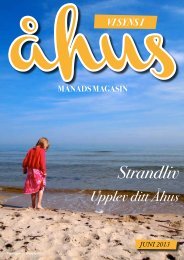 Juni 2013 - Vi Syns i Åhus