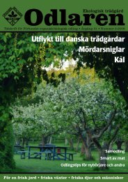 Utflykt till danska trädgårdar Mördarsniglar Kål - Monarda
