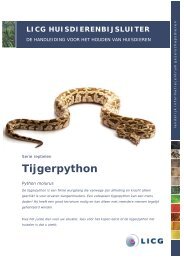 Download de huisdierenbijsluiter Tijgerpython - LICG