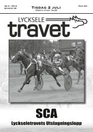 2 - Lyckseletravet