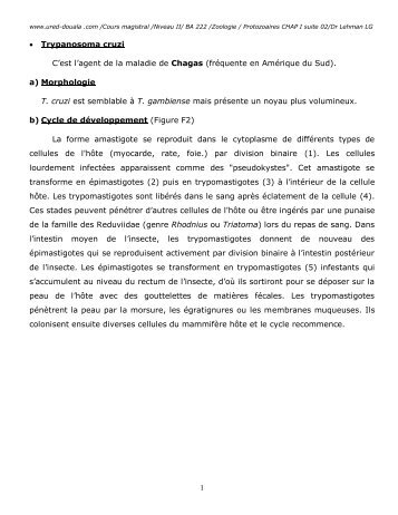 1 • Trypanosoma cruzi C'est l'agent de la maladie ... - URED - Douala