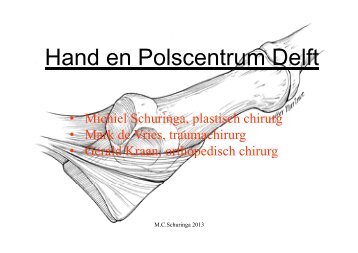 Hand en Polscentrum Delft