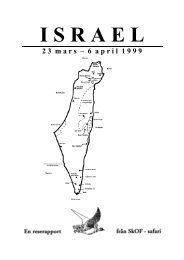 israel 23 mars - Skånes Ornitologiska Förening