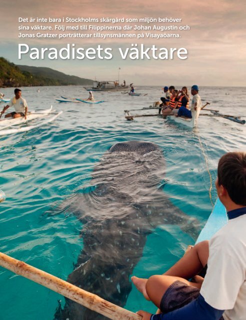 Paradisets väktare - Johan Augustin