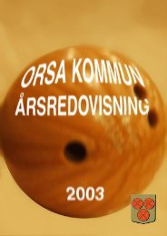 Årsredovisning 2003 - Orsa Kommun