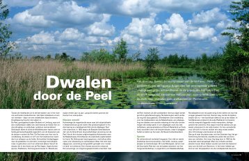 'Dwalen door de Peel' in Het Vermoeden 3, 2013 - Verhalen van ...