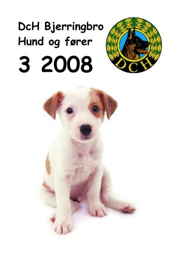 DcH Bjerringbro Hund og fører