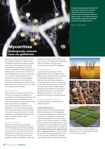 Mycorrhiza - Servaplant