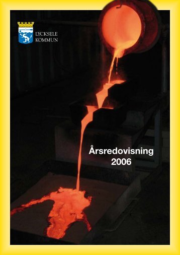 Årsredovisning 2006 - Lycksele kommun