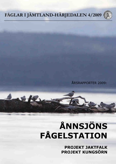 Årsrapport 2009 - Ånnsjöns fågelstation