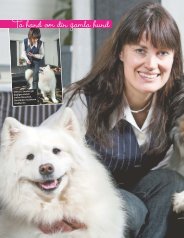 Ta hand om din gamla hund - Hans Karlsson