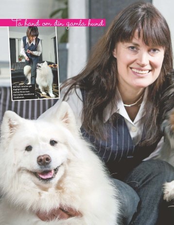 Ta hand om din gamla hund - Hans Karlsson