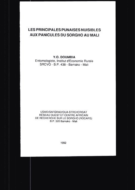 les principales punaises nuisi bles aux panicules ... - Cra-segou.org