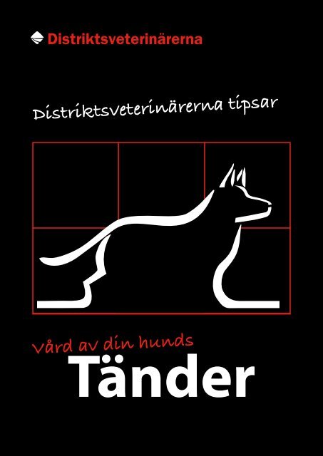 Hundens tänder - Distriktsveterinärerna