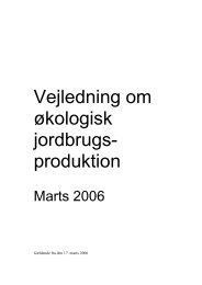 Hele publikationen i PDF