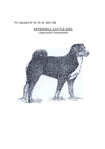 APPENZELL CATTLE DOG (Appenzeller Sennenhund)