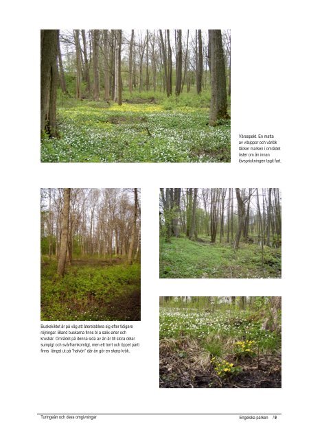 Grönstrukturprogram sid 9-14.pdf - Nykvarns kommun