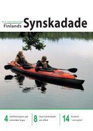 pdf-fil - Förbundet Finlands Svenska Synskadade rf