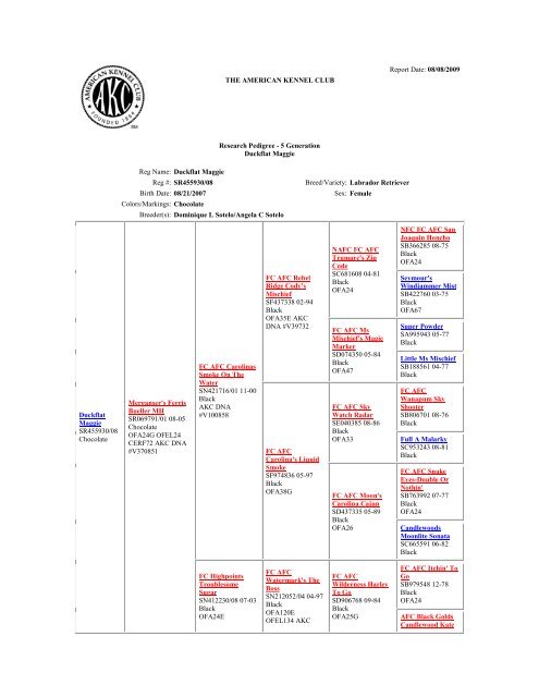 Akc lineage hotsell