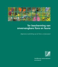 Folder soorten flora + fauna - Av Consulting