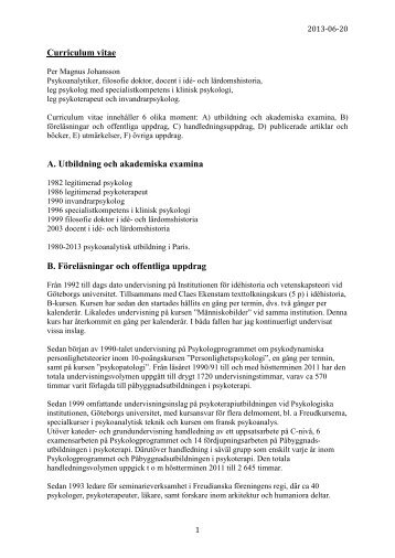 Curriculum Vitae (pdf) - Per Magnus Johansson