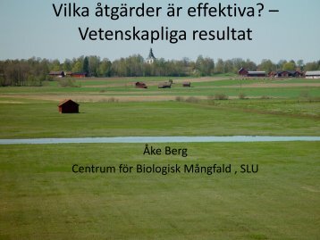 Vilka åtgärder är effektiva? – Vetenskapliga resultat