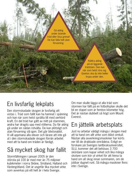 Stormskadad skog - Skogen i Skolan
