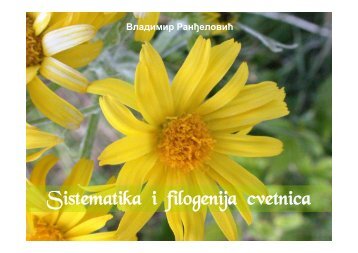 Sistematika i filogenija cvetnica