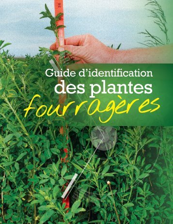 Guide d'identification des plantes fourragères - Valacta