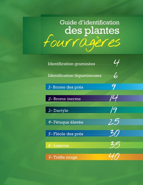 Guide d'identification des plantes fourragères - Valacta