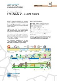 FAKTABLAD B1. Jordens historia