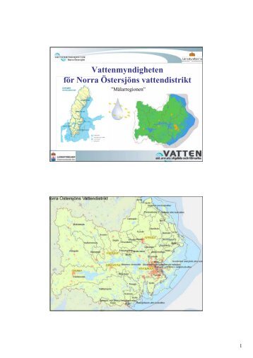 Översikt av väsentliga frågor för förvaltningsplan i Norra Östersjöns ...
