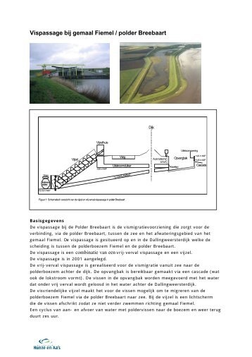 Vispassage bij gemaal Fiemel / polder Breebaart - Vismigratie