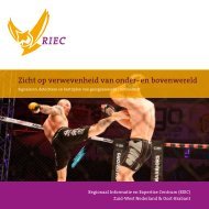 Zicht op verwevenheid van onder- en bovenwereld - RIEC's