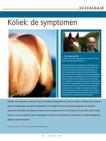 Koliek: de symptomen - Dierenartsenpraktijk Moergestel