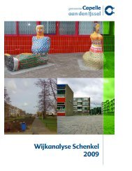 Wijkanalyse Schenkel 20091030.pdf