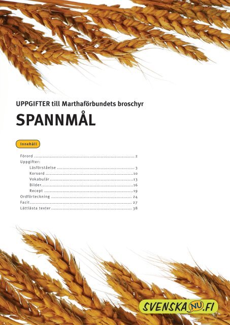 SPANNMÅL - Svenska nu