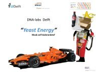 DNA-labs Delft “Racen met Gist” (Maak je eigen Bio-brandstof)