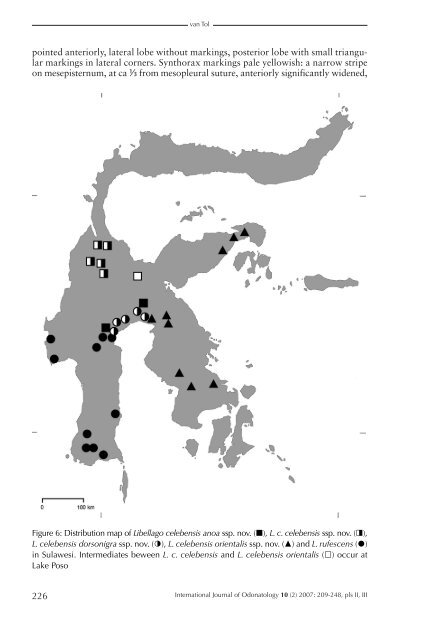 The Odonata of Sulawesi and adjacent islands ... - science . naturalis