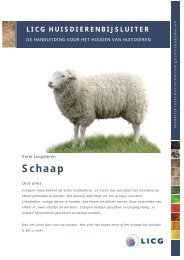 Download de huisdierenbijsluiter Schaap - Licg