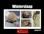 Winterslaap - Eduboek.nl