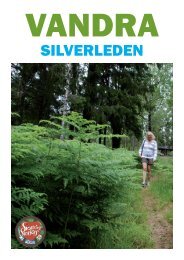 SILVERLEDEN