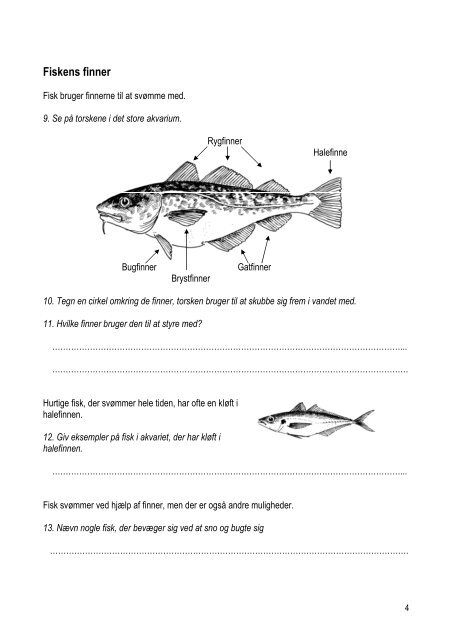 Fisk og tilpasning