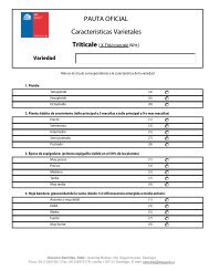 Triticale