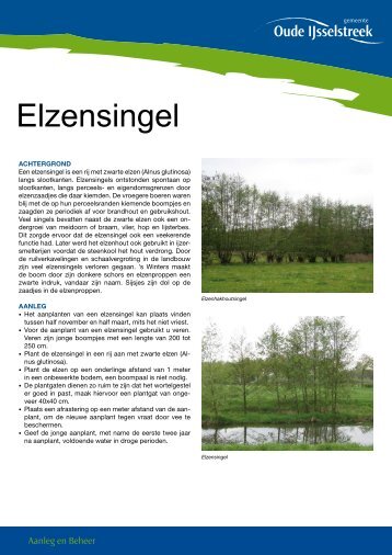 Elzensingel - De gemeente Oude IJsselstreek