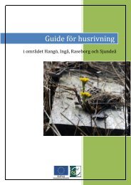Guide för husrivning.pdf - Ingå Kommun